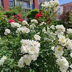 Apartmanhotel Amara Sunny Napospart