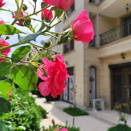 Amara Sunny Σάνι Μπιτς