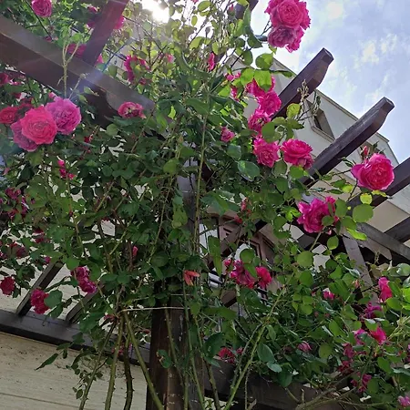 Amara Sunny 3* Sunny Beach