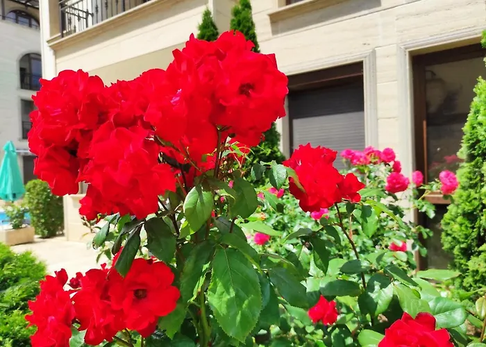 Amara Sunny Aparthotel Sunny Beach