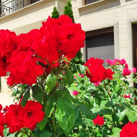 Amara Sunny Aparthotel Sluneční pobřeží