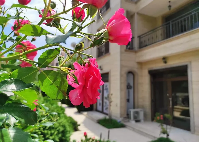 Amara Sunny Σάνι Μπιτς